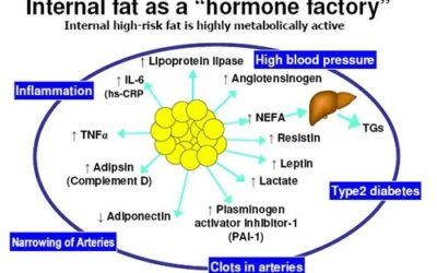 Unlocking the secrets of Weightloss – Intermittent Fasting